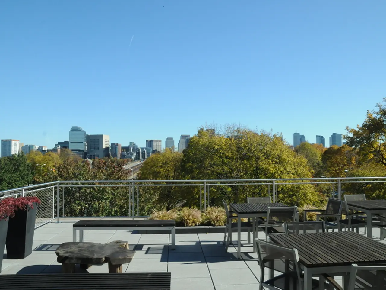 Kuban representatives initiate activities at St. Petersburg's international economic conference