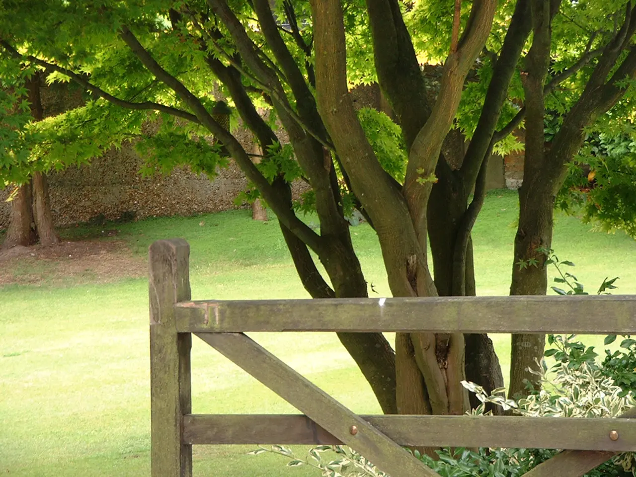 Uncovering Legitimate Green Energy Tax Credits: A Step-by-Step Guide