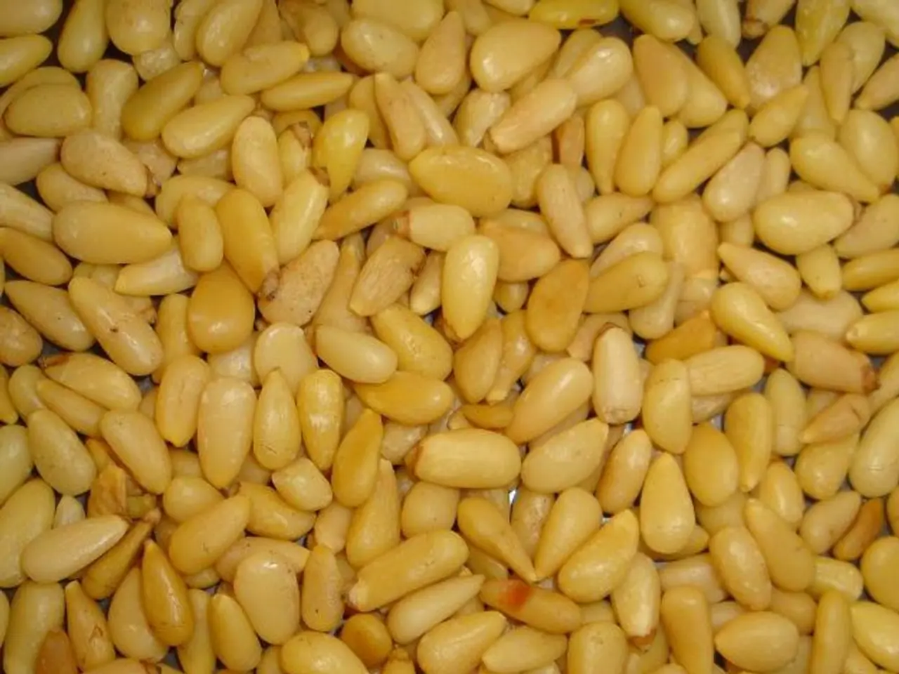 Distincting Variations in Corn and Maize: Unveiling Key Differences