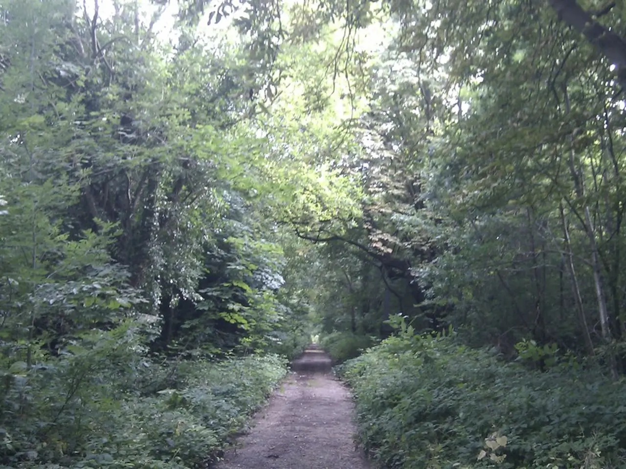 Following the removal of the railway crossing, the farmer voices concerns over the incomplete new...