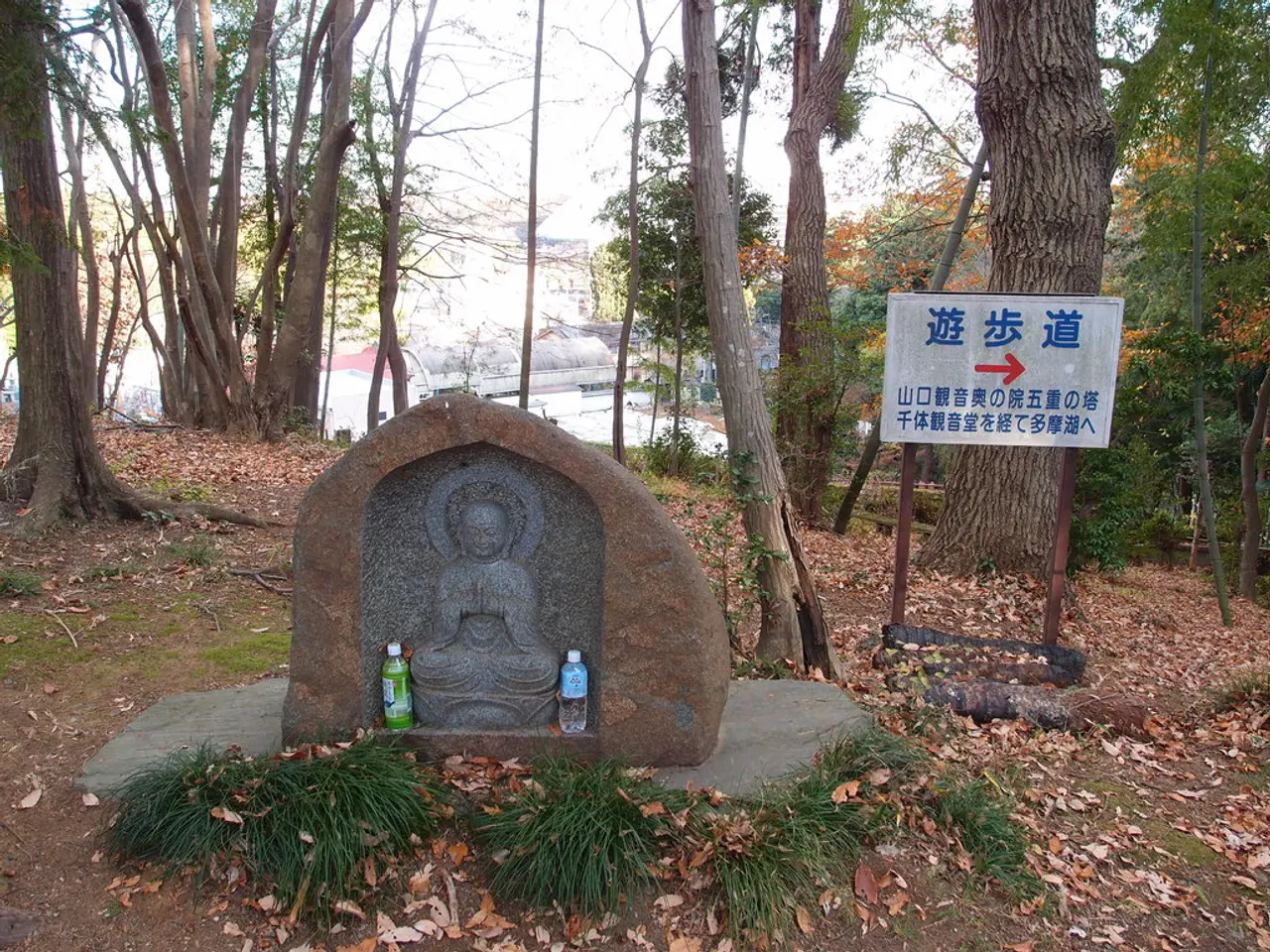 Job Openings at Nepal Water Supply Corporation, Lahan: Positions for Chemist and Driver Available