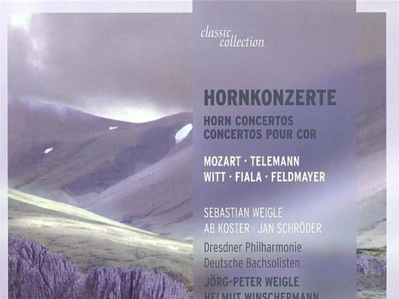 Impacts Beyond Direct Results: Definitions, Classifications, and Remedies