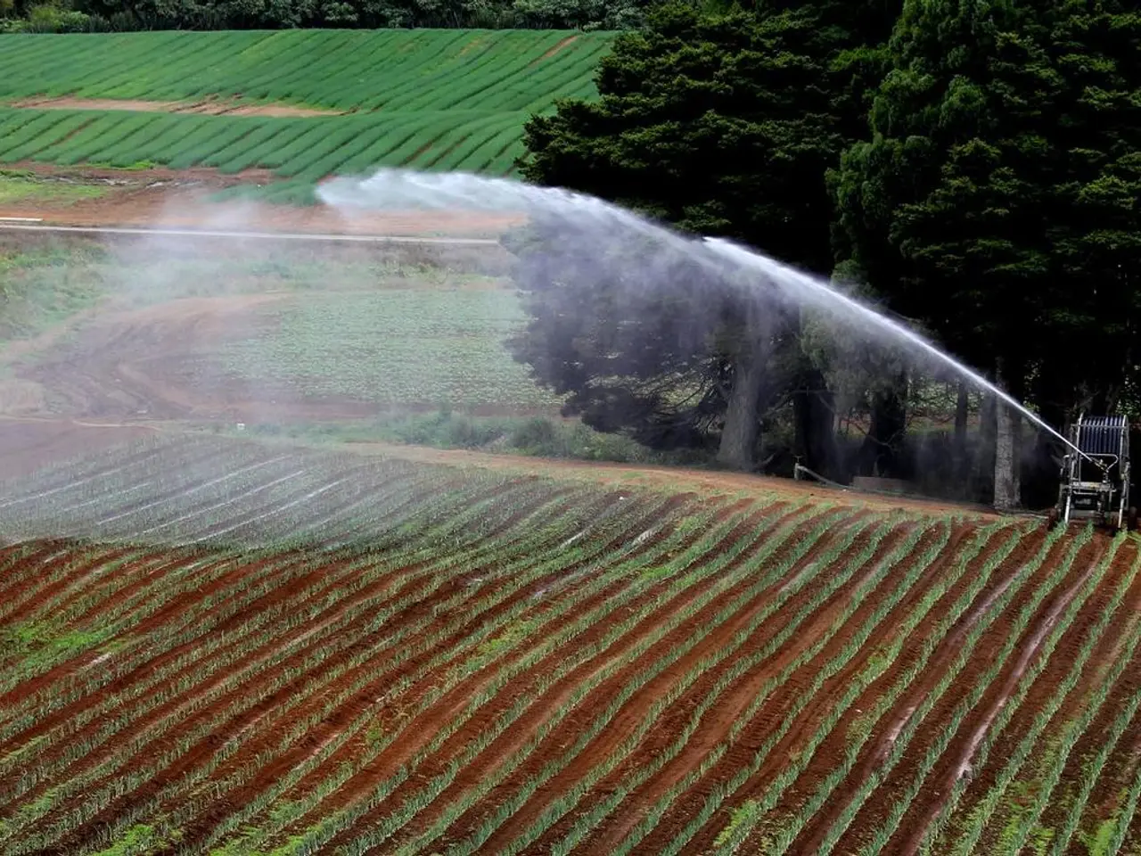 Syndicate exerts pressure on farmers, pushing them into high-interest loans, according to the Chief...