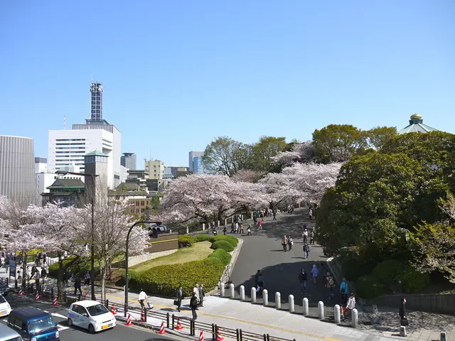 Enhanced Vehicle Traffic in Porto City