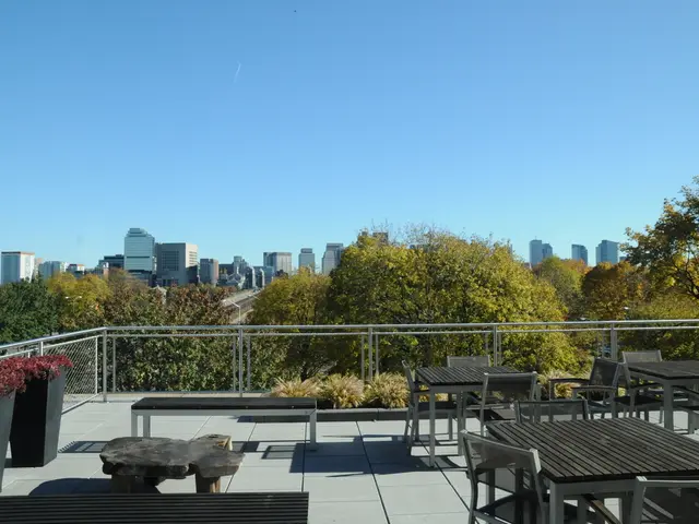 Kuban representatives initiate activities at St. Petersburg's international economic conference