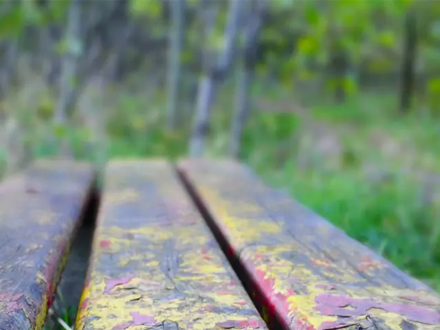 Regulatory Proposal Sought on Commission's Request