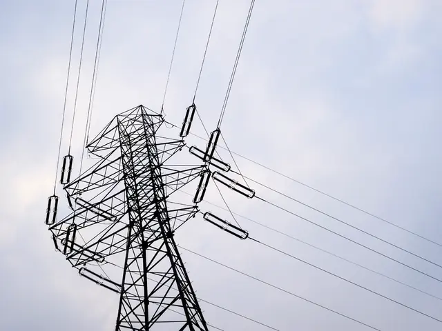 Faulty signal system causes disruption in lines S2 and S3