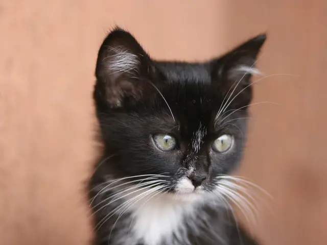 Preview of the upcoming Charterhouse Auction, scheduled for June 26th.