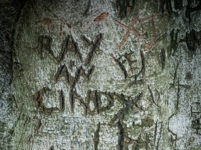 Increased Funding Allotted for Caritas Employees in the North West Region