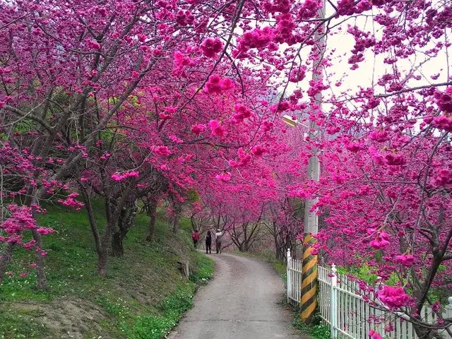 Discussion: Spring Lane's Strategies to weather Potential Alterations in Green Policies