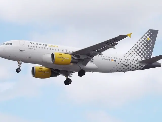 Top-earning positions in Germany: Official figures and job listings showcase highest wages