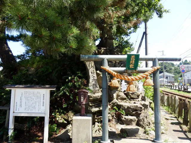 AIIB appoints ex-anti-corruption crusader as the fresh president.