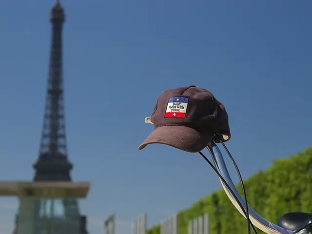 French Parliament Decides on Temporary Pause in Renewable Energy Expansion