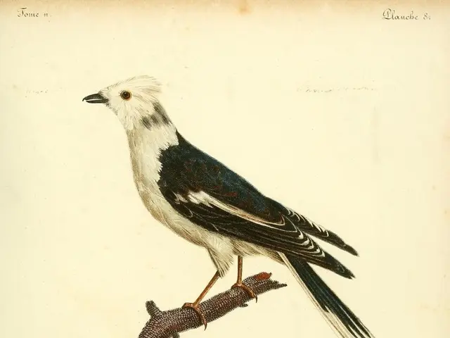 Avoiding these three financial blunders before retiring: