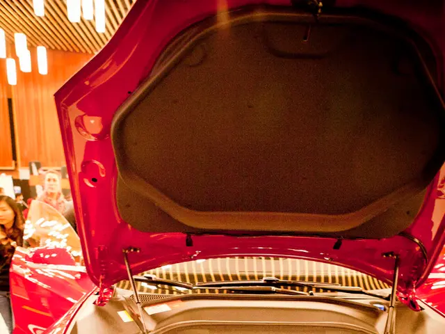 CDU ministers advocate for widespread reduction in electricity taxes