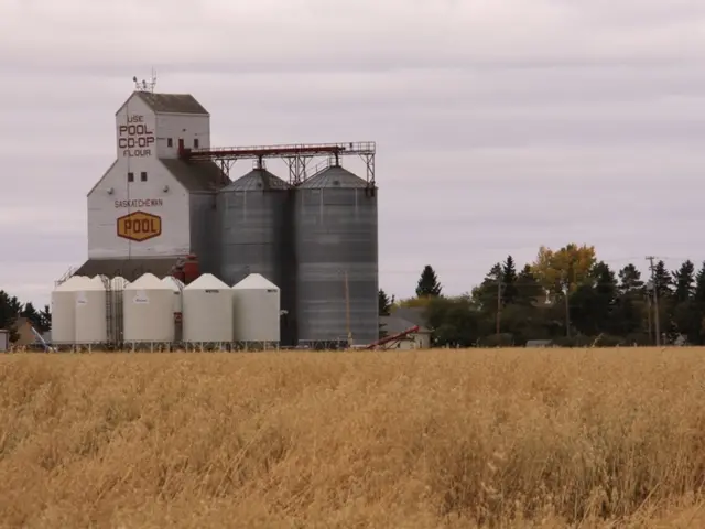 Unabated Growth in New Construction Projects in Saudi Arabia