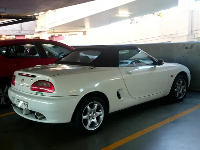 Enlarged burden of bad loans in German banking institutions