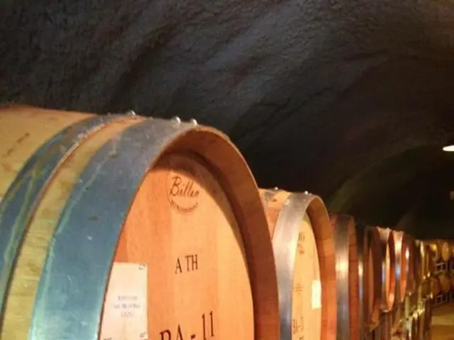 Smooth Sailing in the Arlinger Tunnel Today.