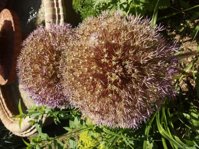 Utilizing Solar Power for Water Resource Preservation