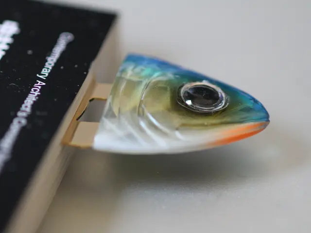 Lawsuit Filed by Ripple Against UK Money Transfer Service, Bone Added to Australian Exchange, Shiba...