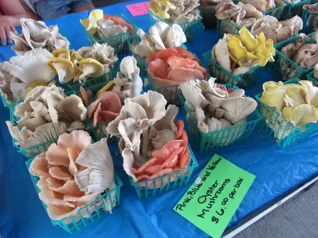 Westphalia introduces a price hike of more than 5% on their ticket sales