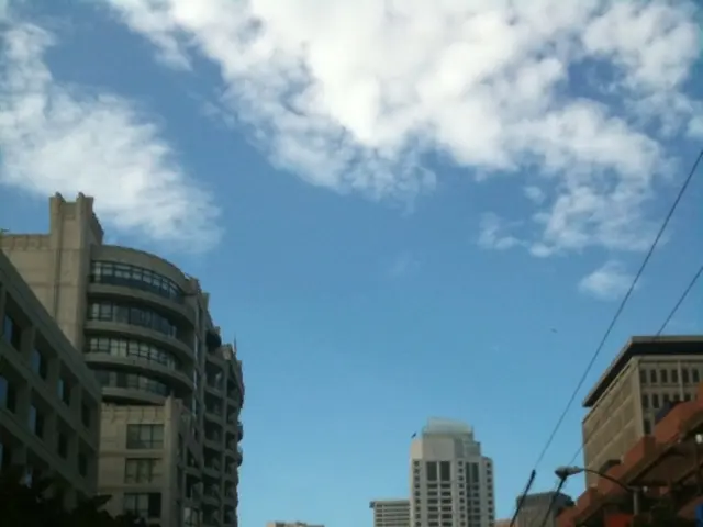 Decrease in carbon dioxide emissions primarily observed in energy sector—significant drop noted