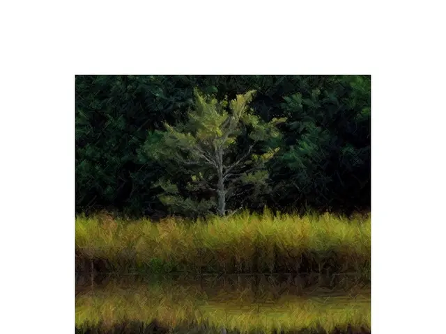 Vietnam initiates domestic market expansion for forest carbon credits