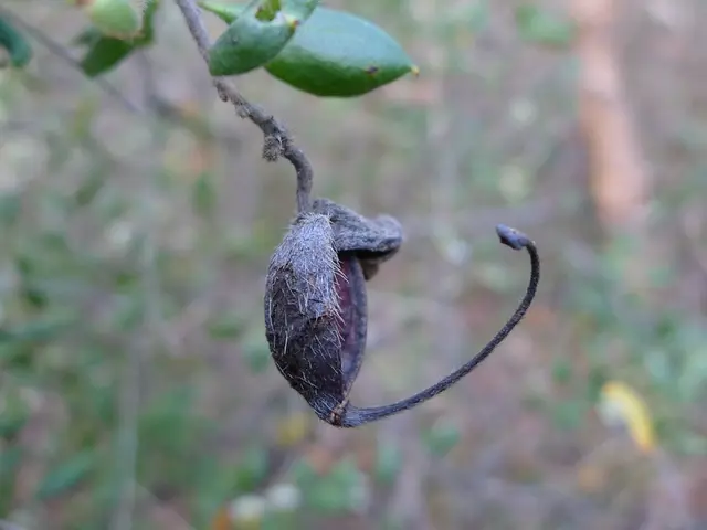 Romania intends to achieve a public deficit of approximately 8% of its GDP, according to the...