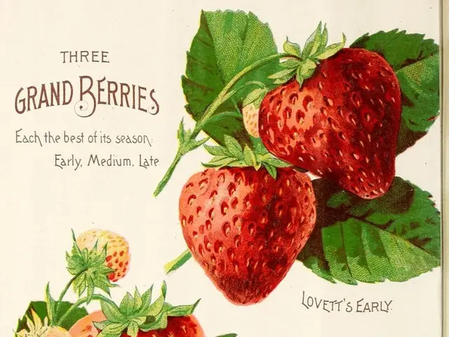 Renowned 'Arthur' developer puts up his picturesque manor in Martha's Vineyard, priced at $6.9...