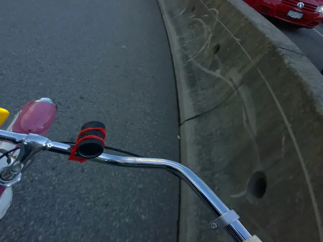 Management: Description, Preferences, Varieties, Responsibilities