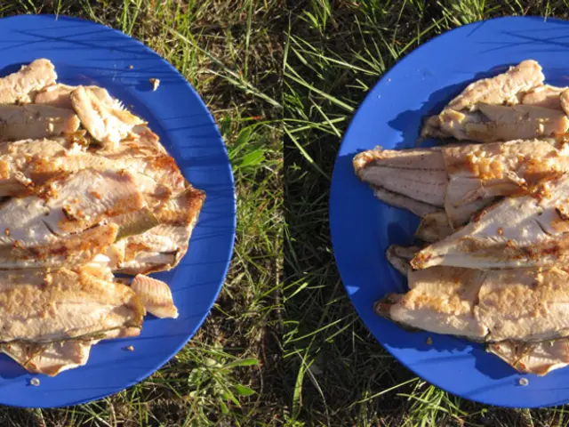 Pigmeat exports to China reached their highest point during the initial six months of the year