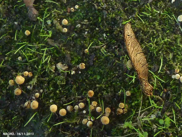 Oman Secures Loan for Wastewater Development