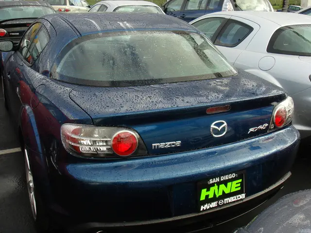 Customs agreement boosting automobile share prices