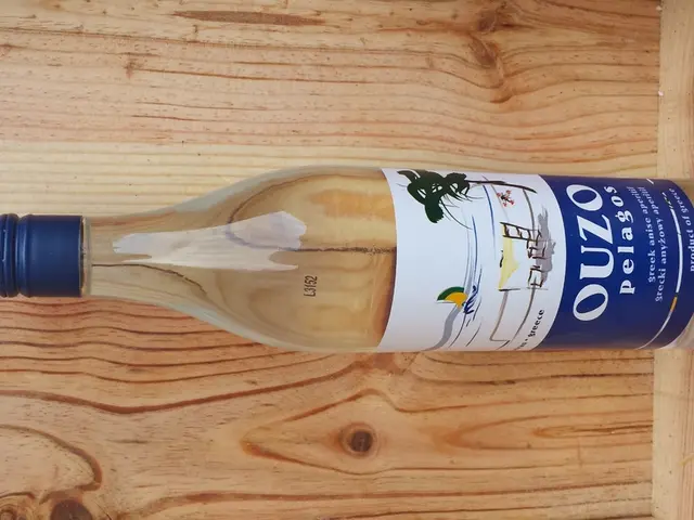 Experts at the Federal Capital conference emphasize the importance of adhering to the guidelines...