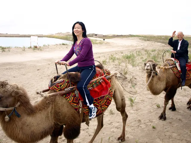 Unveiling the Stealthy Reduction of Saudi Arabia's Oil Edge by the UAE