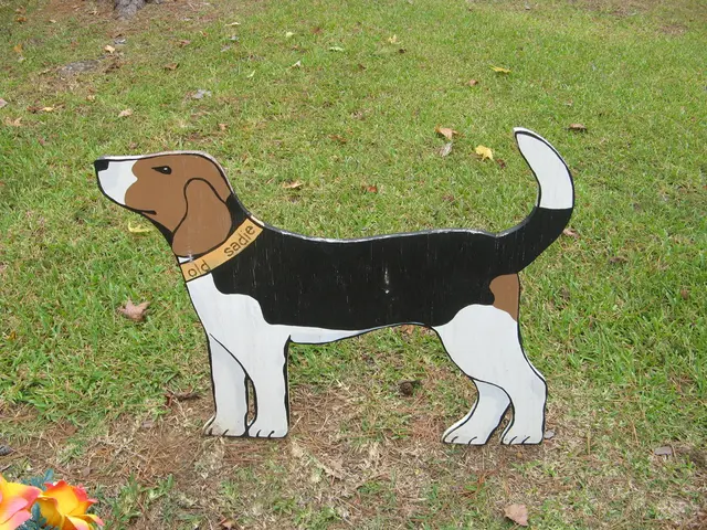 Dogecoin Value Forecast: Bit Origin Secures $500 Million to Acquire Dogecoin; Could Institutions...