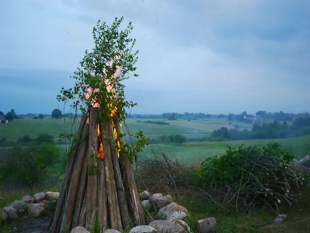 Domestic heating costs for the Omichi will see a decrease due to less wood purchases.