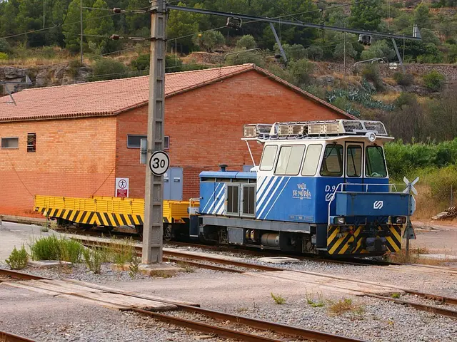 Forest-Based Economy Thrives in Belmont County