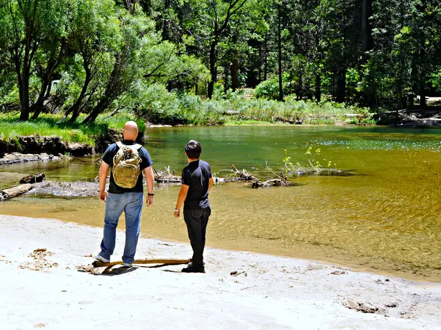 Pressure on Fossil Fuel Bank Lenders: Are Investors Failing toDeliver on Climate Change Commitment?