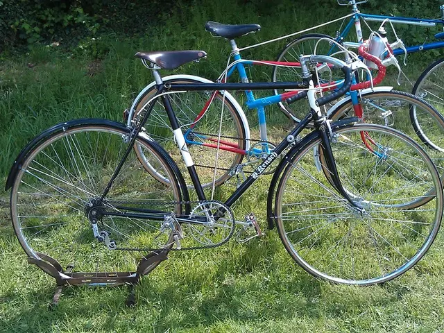 Lloyds Founds Carbon and Biodiversity Trading Division