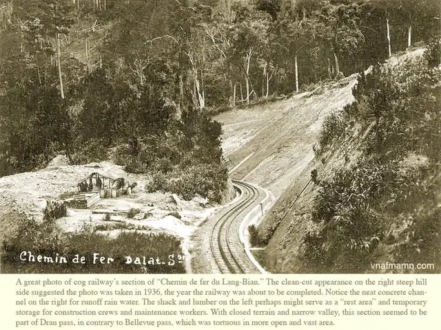 Company's mill closure clean-up timeline remains undetermined, according to the minister.