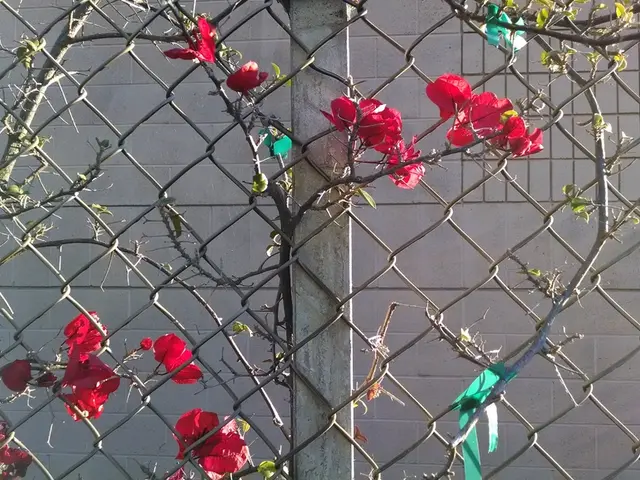 Powell Resists Trump Criticism During Unusual Visit at the Federal Reserve Bank