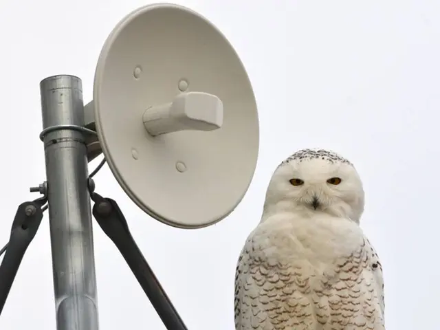 Construction projects halted at OWD building site in Bielefeld; surge in housing benefit recipients...