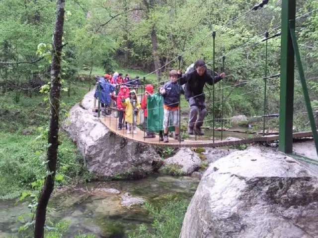 Ray Dalio's billionaire-status Bridgewater firm dumps S&P 500 stocks, racks up a whopping...