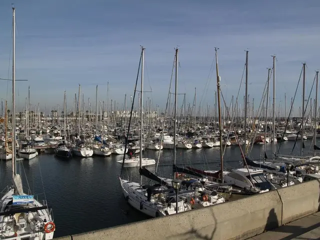 Government designates a project director and a coordinator for Chattogram Port's Bay Terminal...