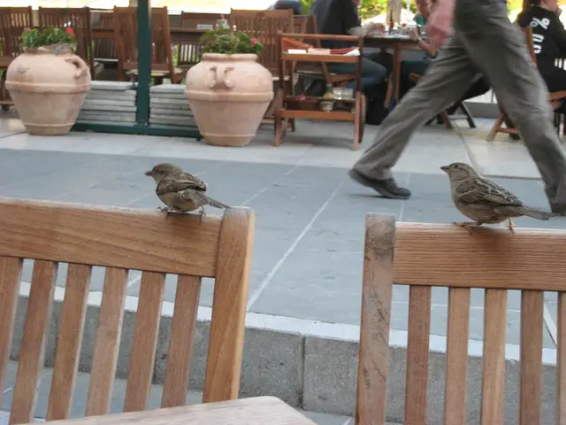 Networking Events for Entrepreneurs and Professionals