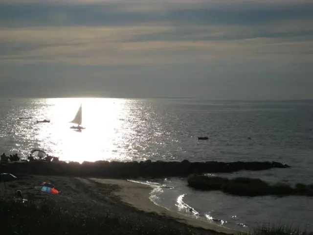 Fossil fuel initiatives face intensifying stress due to the legal enactment, according to an...