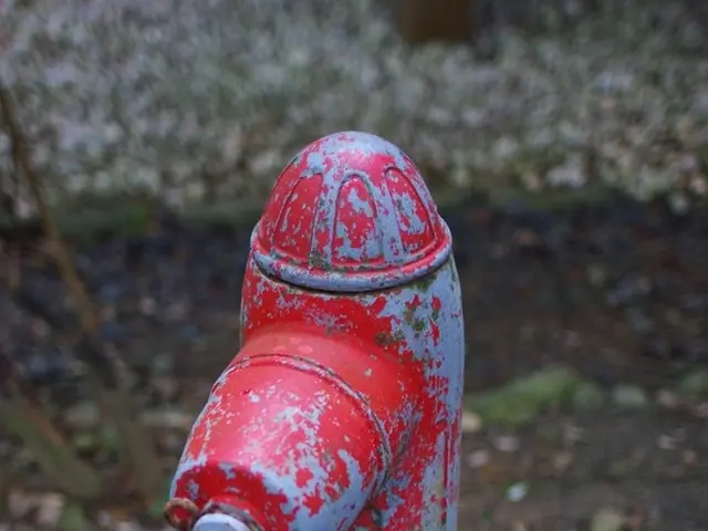 Aid's compatibility with the domestic market remains undecided by the Commission.