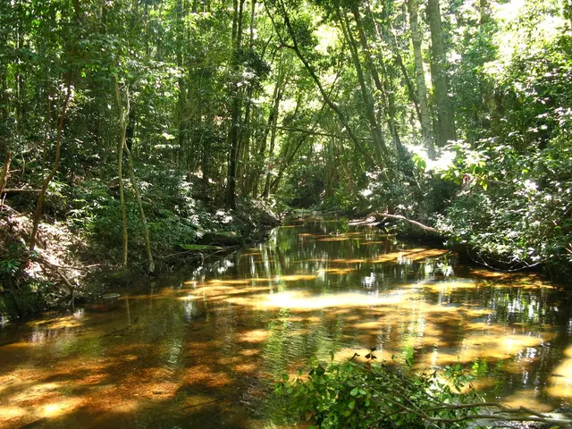 Urgent Call for Expanded GDWS Workforce to Maintain Efficient Operation of Kiel-Canal and North...