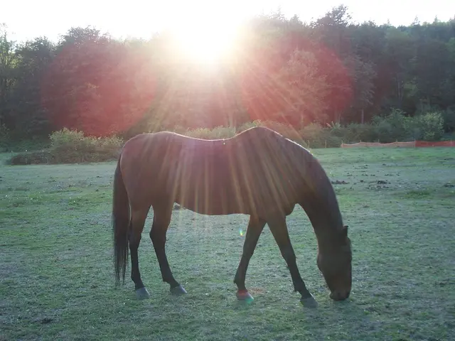 Equity holders confront Equinor regarding discrepancies in Paris compliance, prior to Annual...